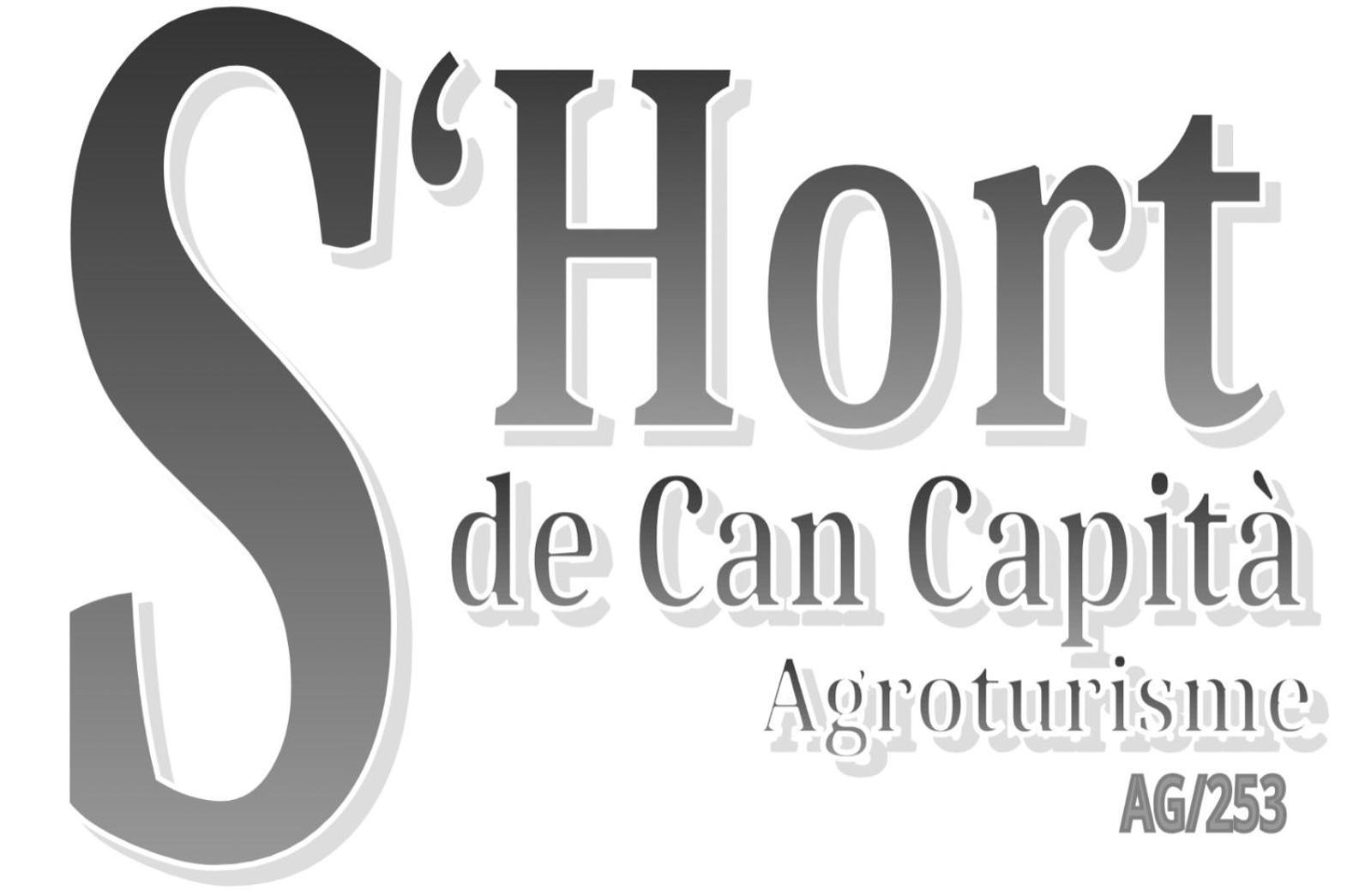 S'Hort Can Capita Làng Làng Ariany Ngoại thất bức ảnh